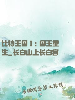 比特王国Ⅰ: 国王重生